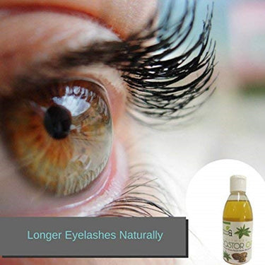 https://cdn.shopify.com/s/files/1/1857/6931/products/41wq3u3zjpL.jpg?v=1640256847